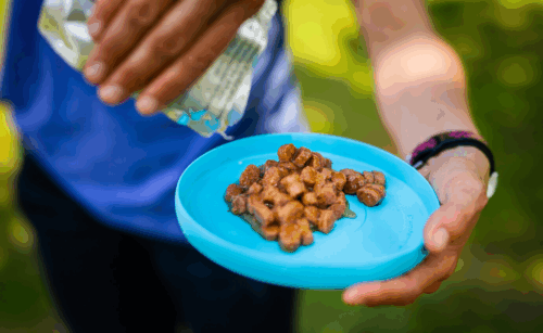 Duck Energy paté - Image 2