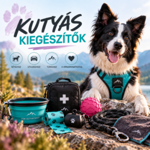 Kutyás Kiegészítők