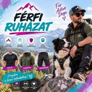 Férfi ruházat